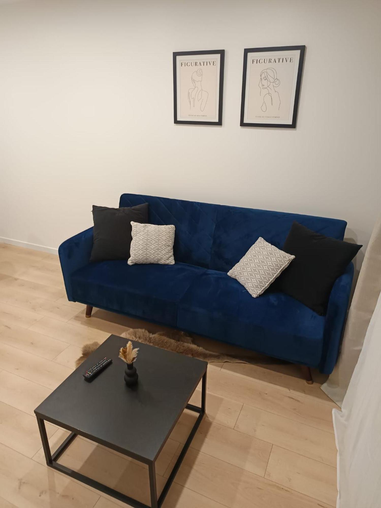Superbe Appartement ! Saint-Etienne (Loire) Exterior foto