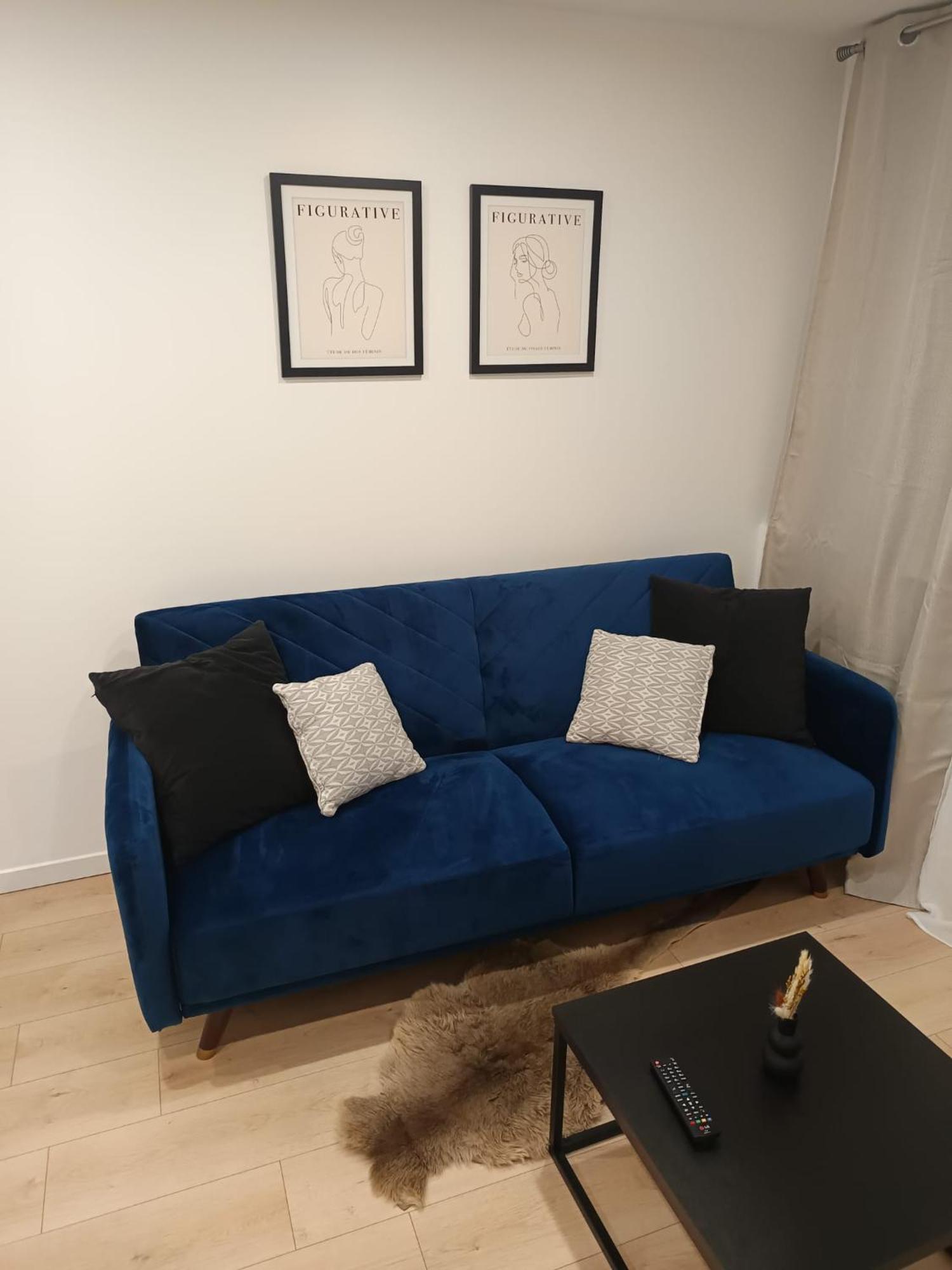 Superbe Appartement ! Saint-Etienne (Loire) Exterior foto